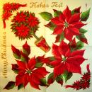 066 Christmas Flowers - 3-ply